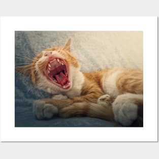 sleepy orange cat yawning Posters and Art